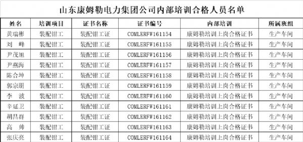 山東康姆勒電力集團公司內(nèi)部培訓(xùn)合格人員名單